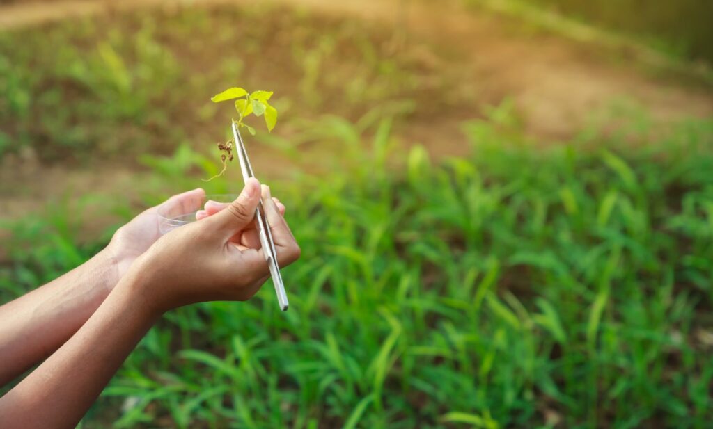 AgriSETA Learnerships opportunities