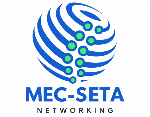 MECSETA LOGO IMAGE