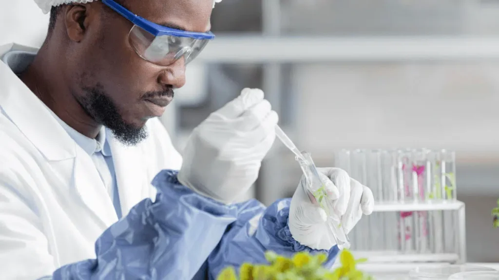 RCL FOODS Learnership 2025